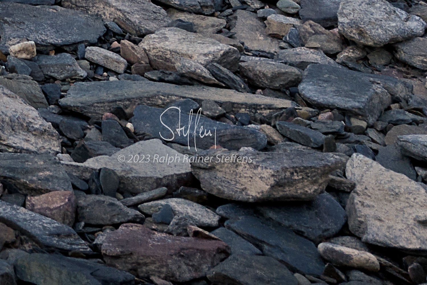 Rhein IV © 2023 (M) Ralph Rainer Steffens